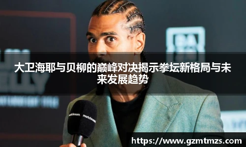 大卫海耶与贝柳的巅峰对决揭示拳坛新格局与未来发展趋势